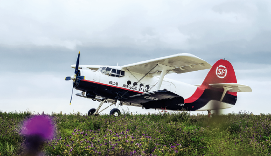 Jackpot(�й���)�ٷ���վ